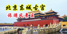 操逼首页中国北京-东城古宫旅游风景区